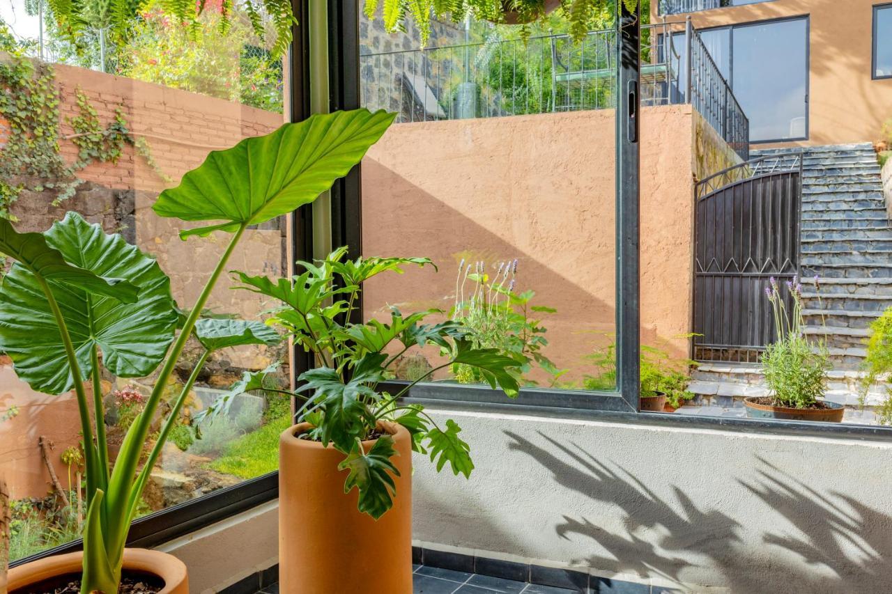Casa Lavanda Hotel Boutique Pátzcuaro Eksteriør billede